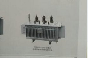 SBH15-10kV油浸式非晶合金铁芯配电压器 SBH15-10kV油浸式非晶合金铁芯配电压器